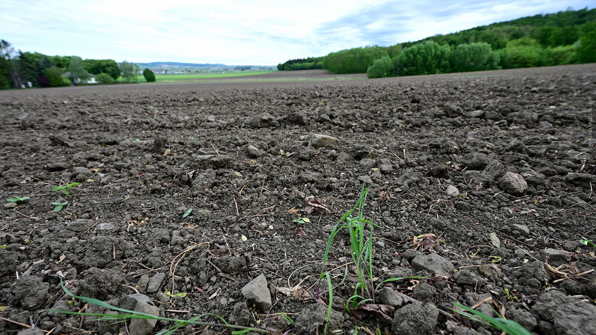 Studie: Reiche heizen Klimakrise an