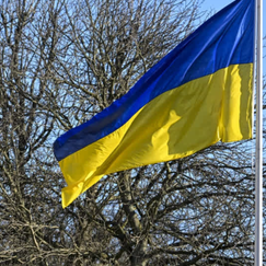 Zahl der Ukrainer in Deutschland steigt