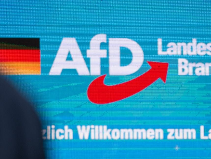 AfD-Brandenburg ist rechtsextremistisch